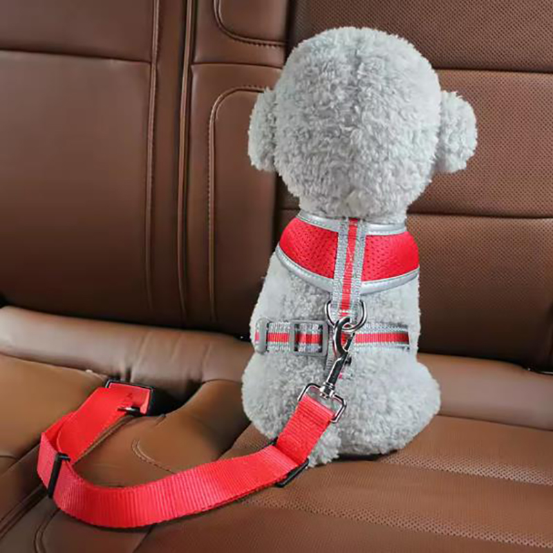 Ремни безопасности для собак,  – обзор и цена Swing Seat Belt
