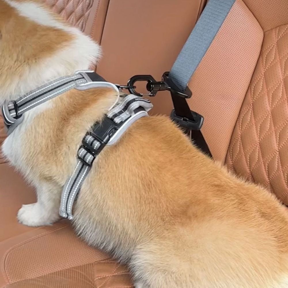 Пряжка безопасности для домашн – обзор и цена Swing Seat Belt